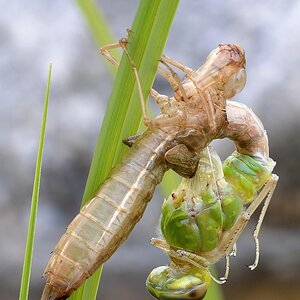 20130527 203421