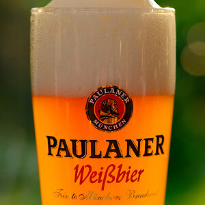 DSC 8796 Paulaner
