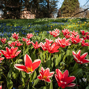 20130415 MER 9396
