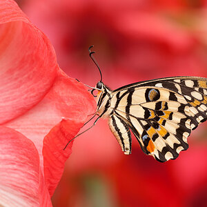 20130416 MER 9474