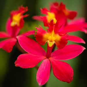 20130416 MER 9594
