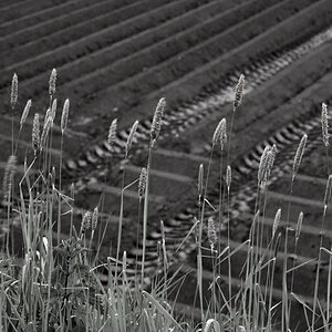 2430900landschsw