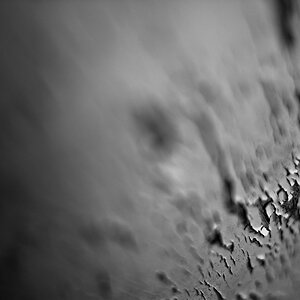 Meine ersten Tests mit meinerm neuen Stolz - Nikon D7100