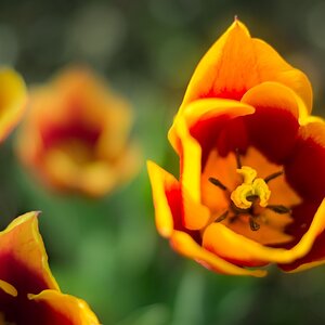 D7100