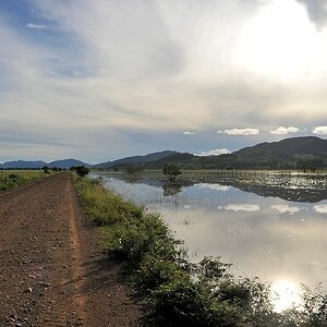 Hauptstrasse durch Guyana
0534