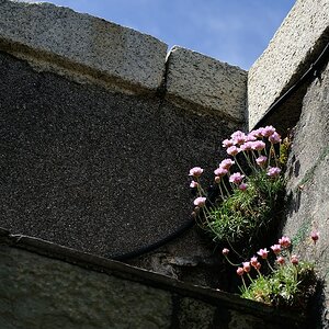 2013 05 10 4042 D 3S A
