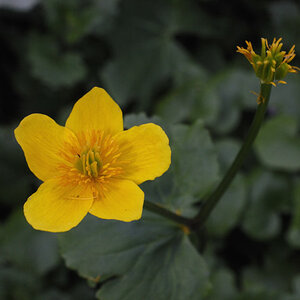 23042007 UV 0073