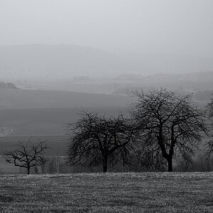 greyviewok
