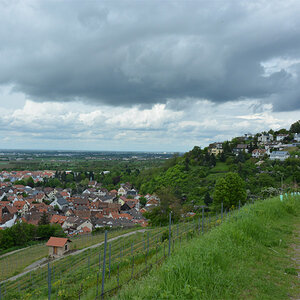 DSC 0903 bearbeitet 1