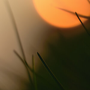 71024sonne