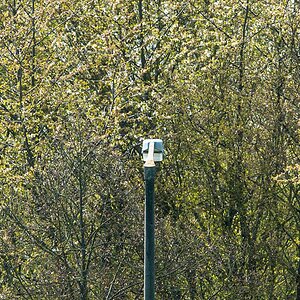 M Weinzierl 788FX