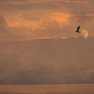 aacomp usedom 20130519 4412