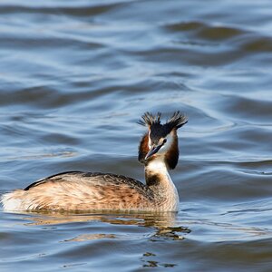 20130420 710610 [NIKON D7100] 600 mm,1 640 Sek. bei ƒ   8,0