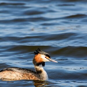 20130420 710612 [NIKON D7100] 600 mm,1 640 Sek. bei ƒ   8,0