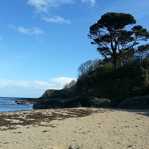 Irlandtreffen 20130513 174837