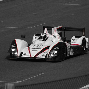Nr.:38 Jota / Zytek Z11SN - Nissan