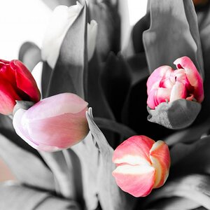 20130504 DSC 0179