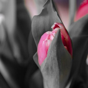20130504 DSC 0175