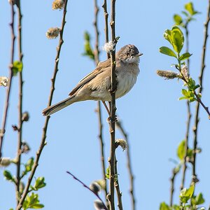 20130505 2885 [NIKON D7100] 500 mm,1 800 Sek. bei ƒ   6,3