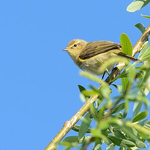 20130505 2701 [NIKON D7100] 500 mm,1 800 Sek. bei ƒ   8,0