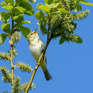 20130505 2977 [NIKON D7100] 500 mm,1 800 Sek. bei ƒ   6,3