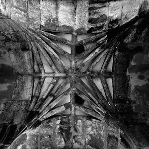 2013 05 12 5136 bw D 3S A