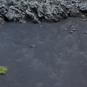 Lapalma (1)