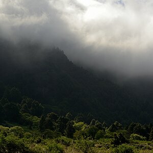 Lapalma (2)
