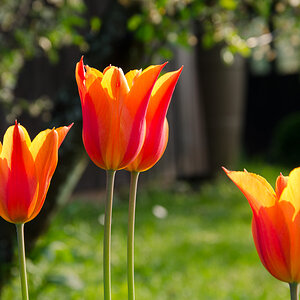 SH 20130505 2548