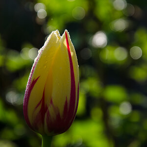 SH 20130505 2520
