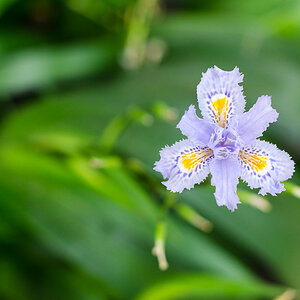 SH 20130402 1584