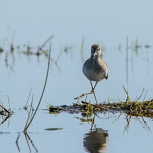 20130505 2822 [NIKON D7100] 500 mm,1 800 Sek. bei ƒ   6,3