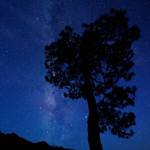 Lapalma (10)