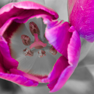 SH 20130127 0347