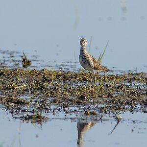 20130505 2854 [NIKON D7100] 500 mm,1 800 Sek. bei ƒ   6,3
