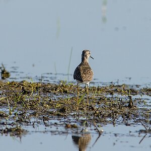 20130505 2860 [NIKON D7100] 500 mm,1 800 Sek. bei ƒ   6,3