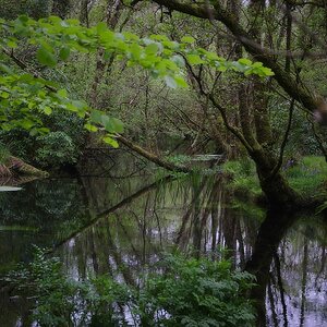 Irlandtreffen g DSC 7529