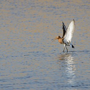 20130504 2255 [NIKON D7100] 500 mm,1 800 Sek. bei ƒ   8,0