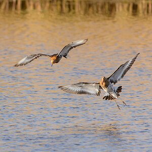 20130504 2317 [NIKON D7100] 500 mm,1 800 Sek. bei ƒ   4,8