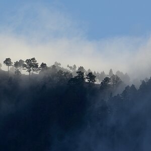 Lapalma (21)