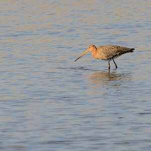 20130504 2251 [NIKON D7100] 500 mm,1 800 Sek. bei ƒ   8,0