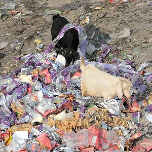Plastikmüllverwertung
6050