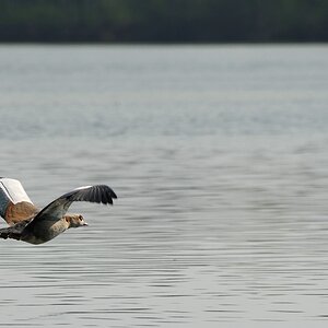 2013 04 21 1257 D 3S A