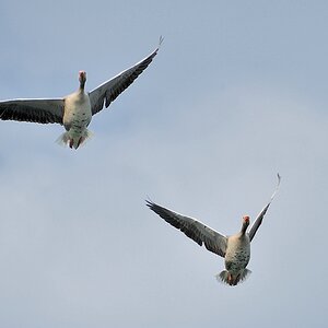 2013 04 21 1565 D 3S A