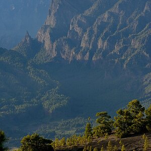 comp Landscape (43)
