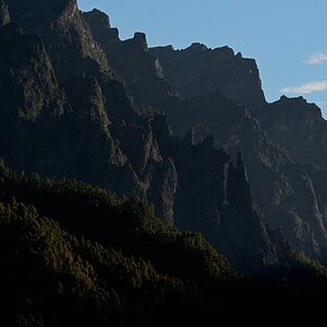 comp Landscape (45)