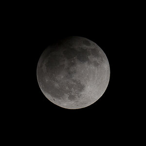 25.3.2013