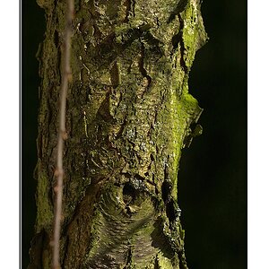 KR DSC 1077 BR