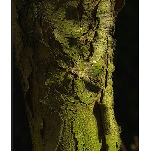 KR DSC 1080 GR