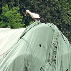 DSCN3869